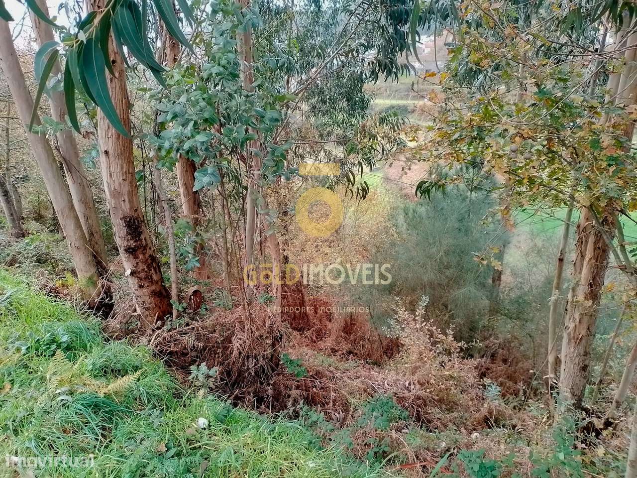 Terreno Rústico  Venda em Souselo,Cinfães - Grande imagem: 4/6