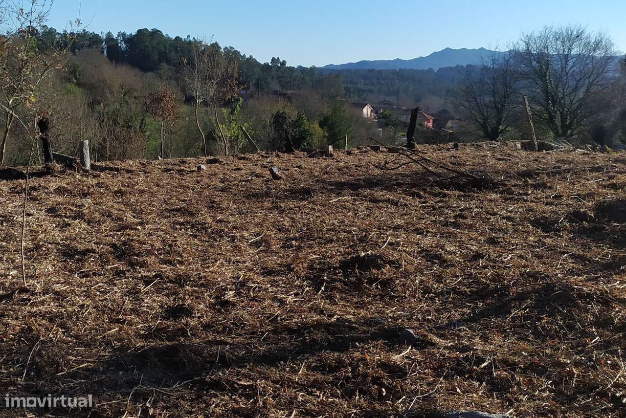 Moradia T0 Venda em Carvalhais e Candal,São Pedro do Sul-3
