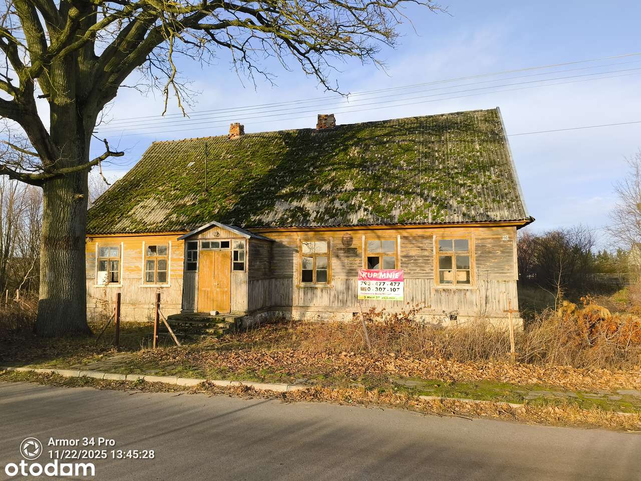 STARY DREWNIANY DWOREK w Łosince z 1890 roku.  REWEACYJNY ZDROWY DYL - Pełny obrazek: 3/20