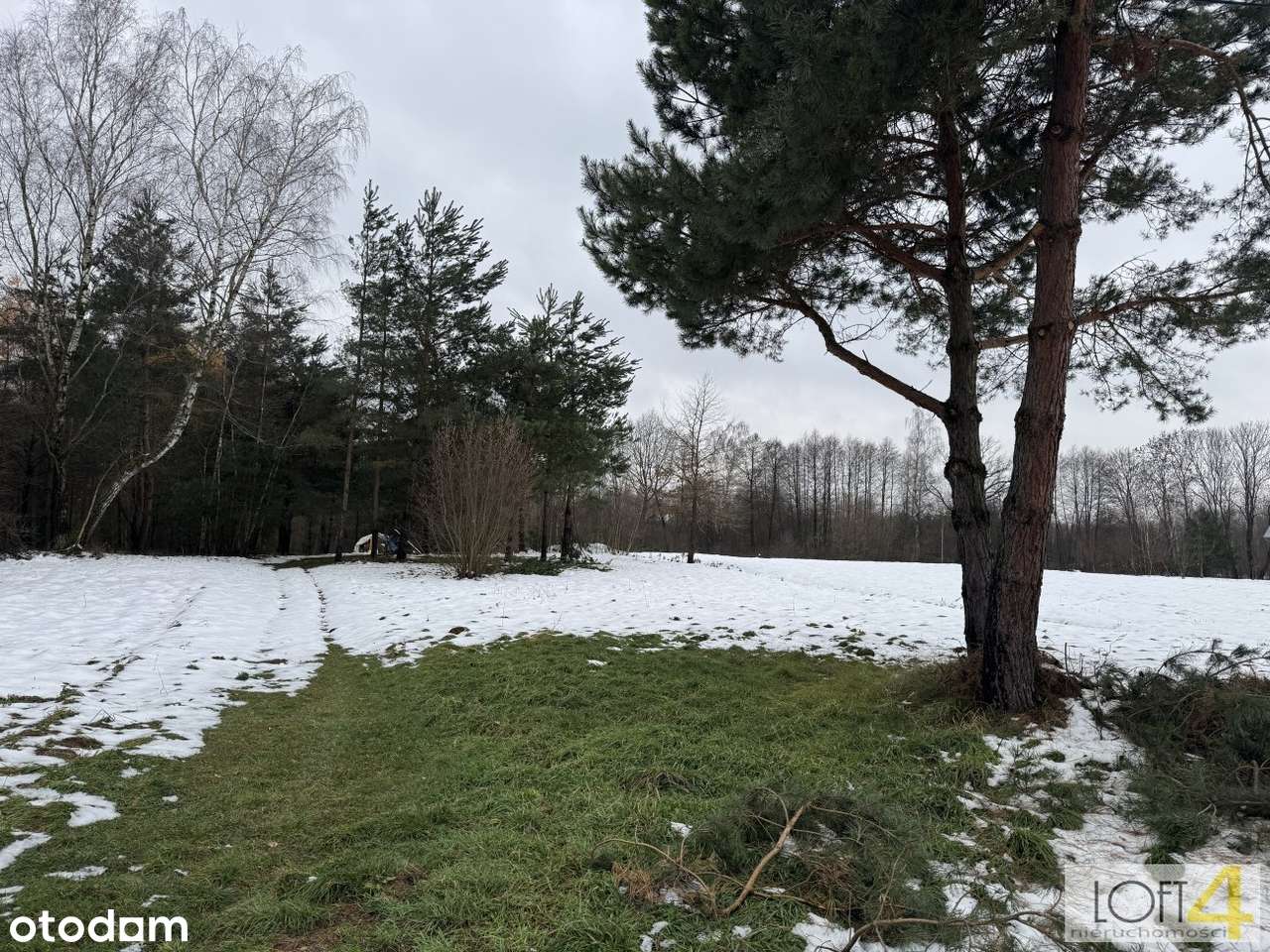Duża działka z WZ -  otulona lasem-8