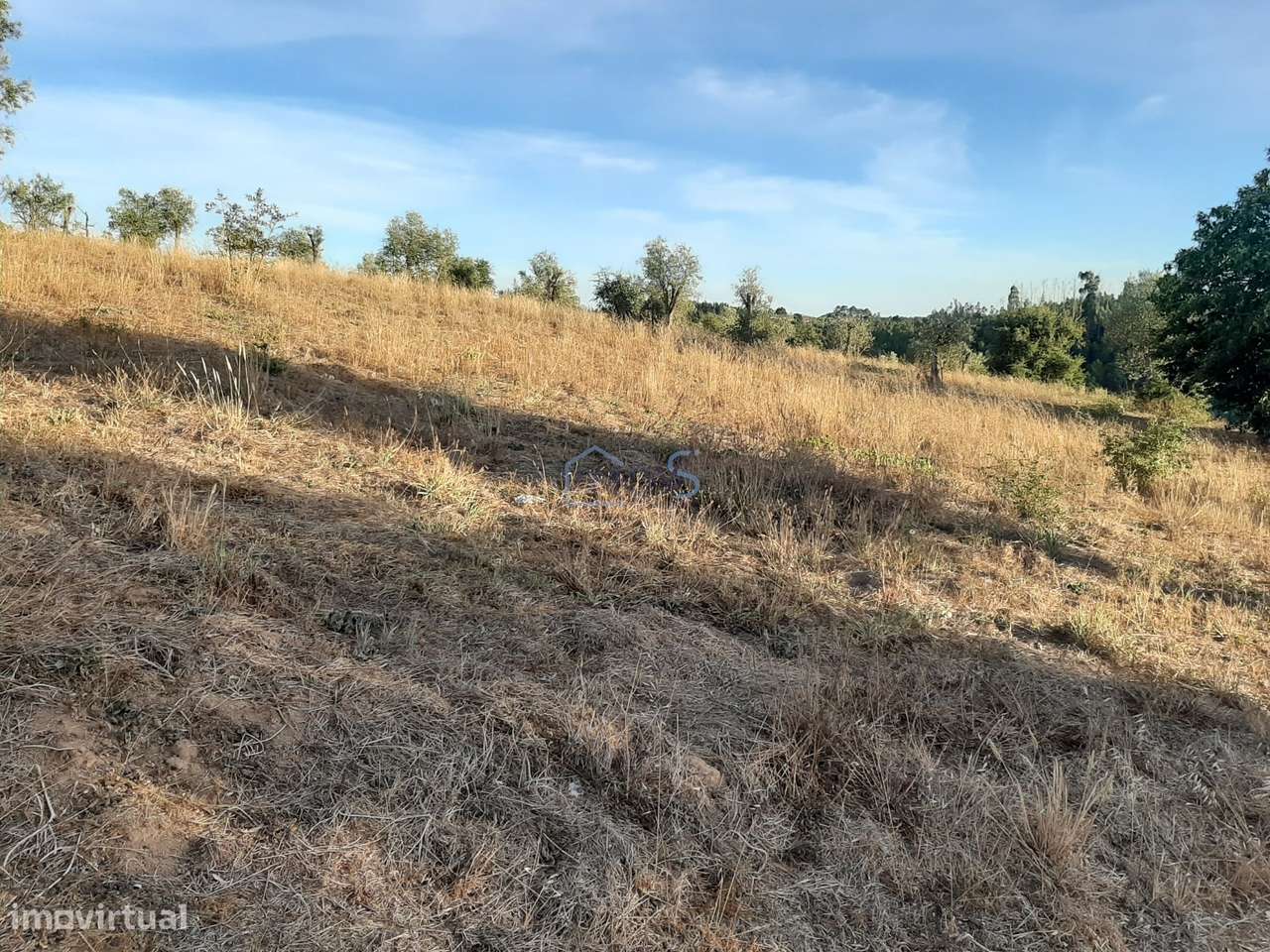 Terreno com Projeto Aprovado para Moradia em Besteiras – Águas Belas-9