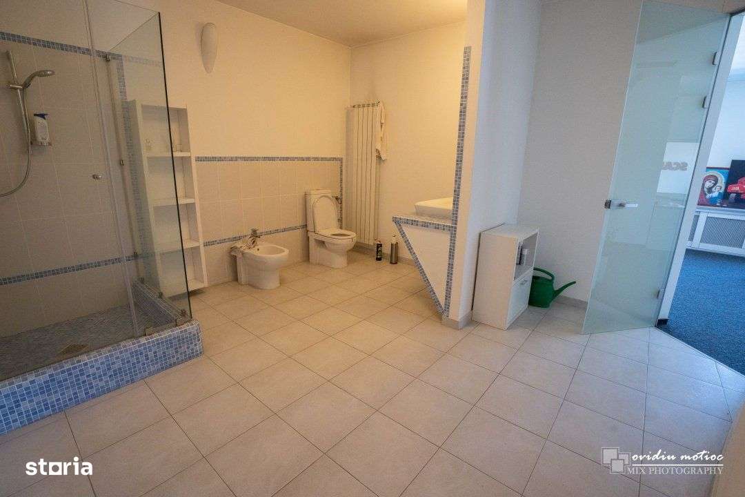 Hale cu deschidere la drumul european-11