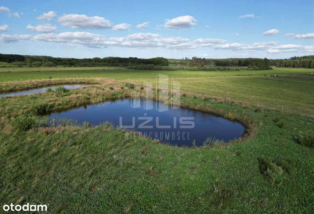 Serce Borów Tucholskich - Unikat !! - Pełny obrazek: 4/10