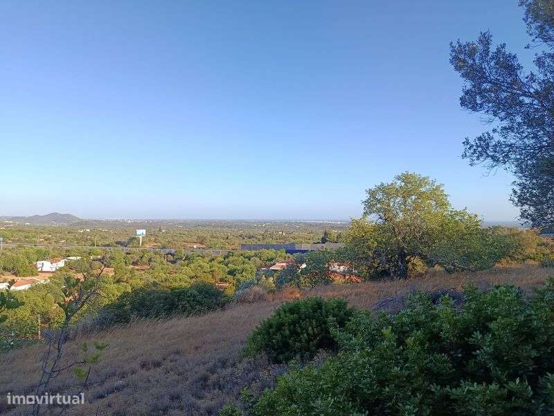 Terreno rústico Boliqueime - Grande imagem: 4/6