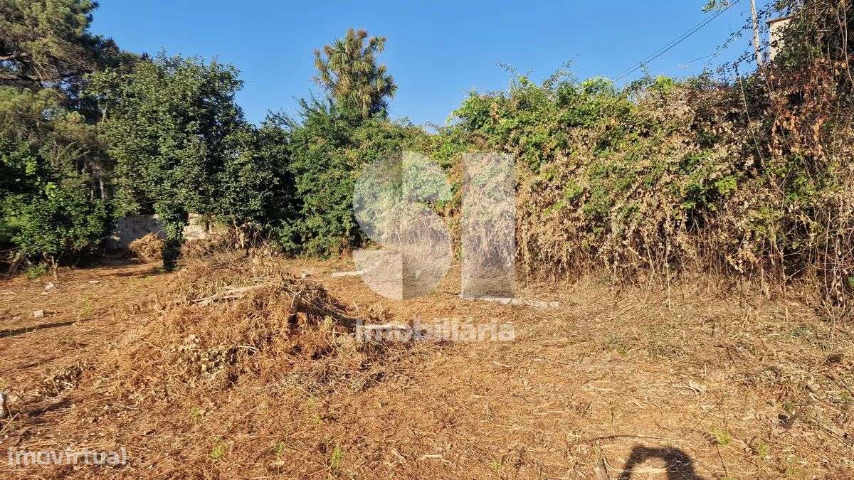 Terreno - potencial de investimento - Astromil - Paredes-38