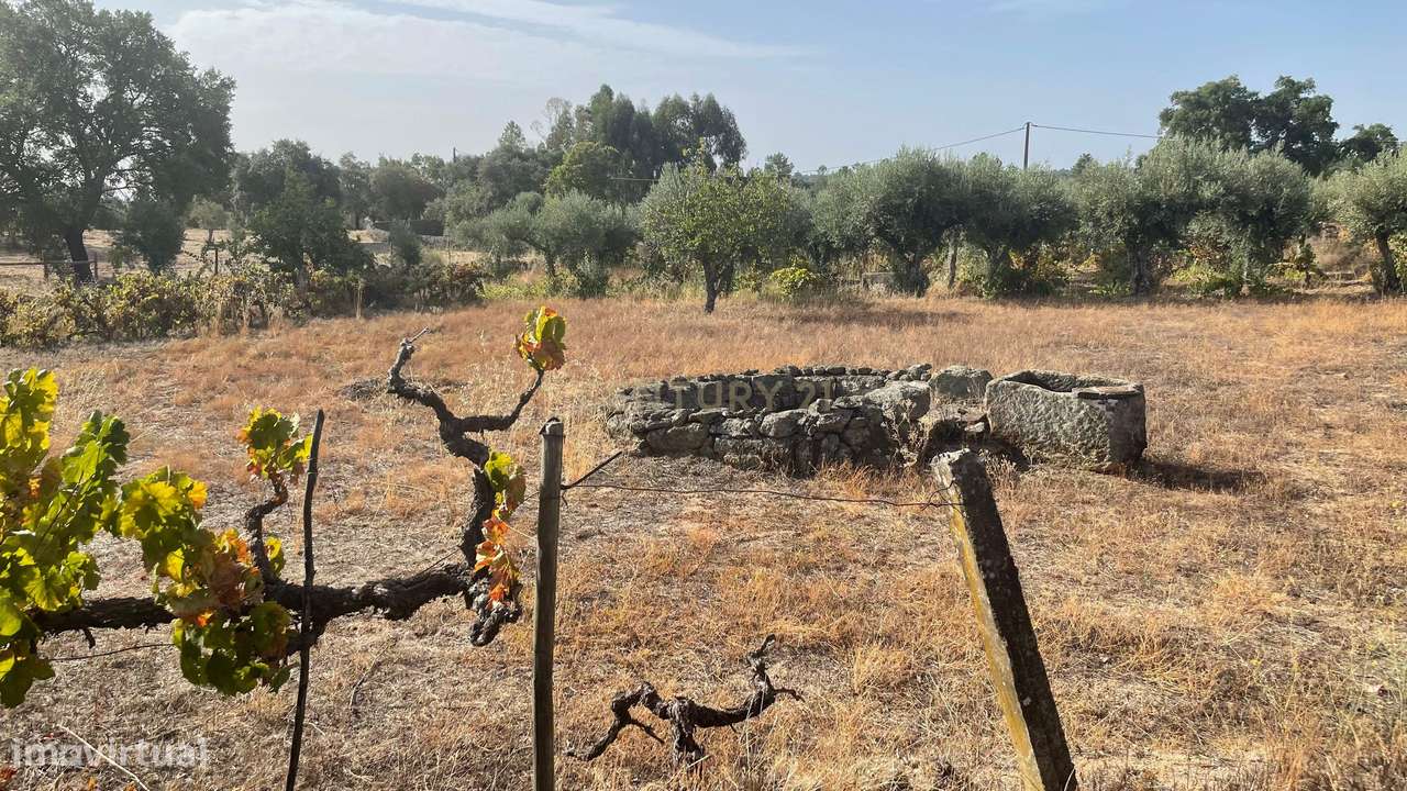 Terreno rústico | Lousa CTB, Castelo Branco - Grande imagem: 2/11
