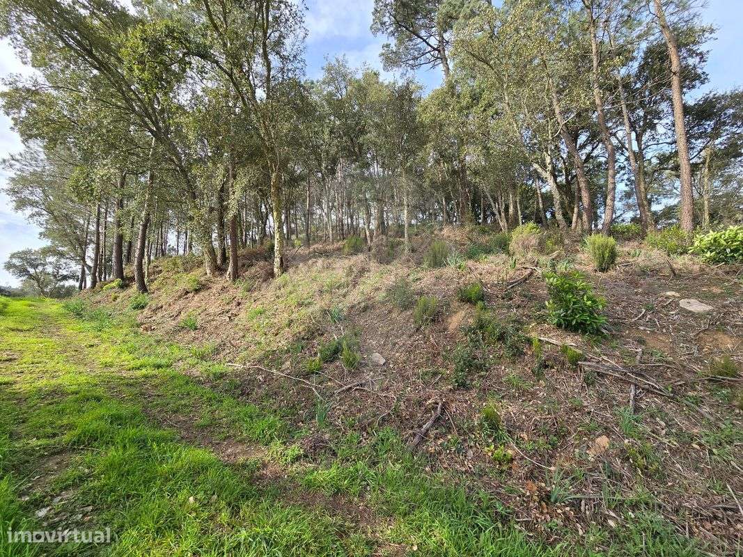 Terreno  para venda - Grande imagem: 4/15