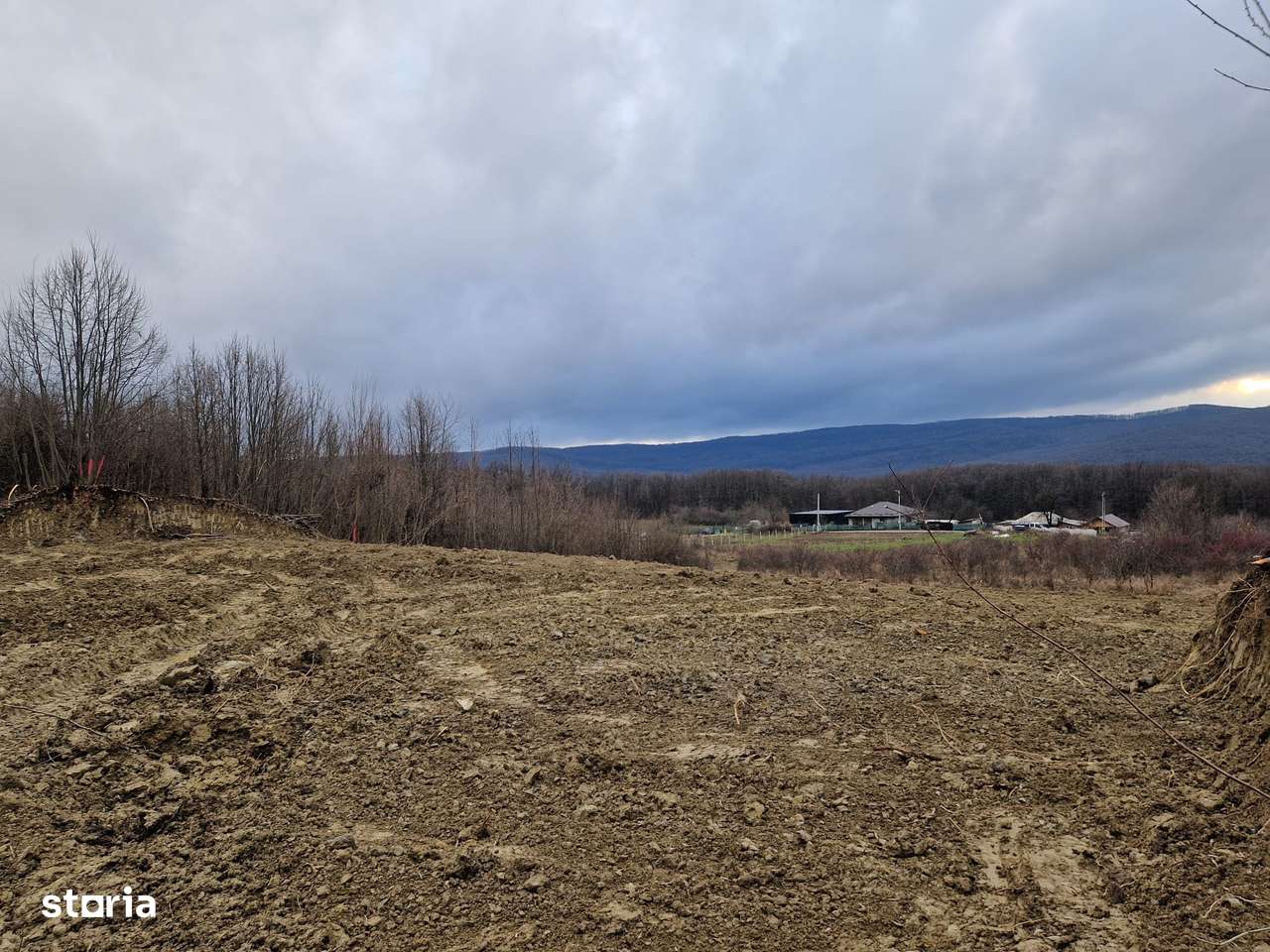 Teren intravilan de la 748mp la 3024mp, Barnova-0