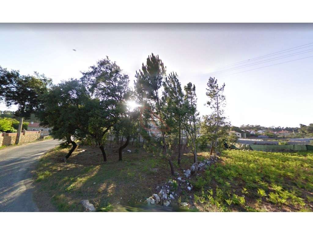 Terreno para Construção / 1 Moradia / Lote com 1120 m2 / S. Mamede-0