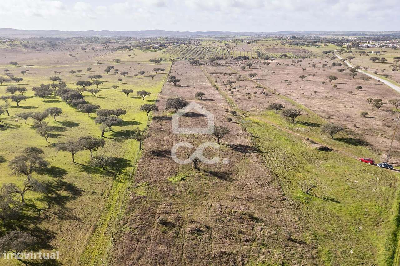 Terreno de 5,4 ha c/ Viabilidade de Construção | Capelins, Alandroal-30