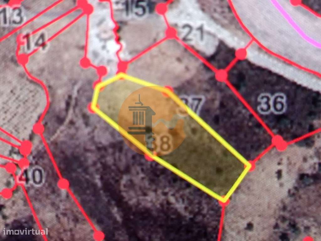 TERRENO RUSTICO COM 6000 M2 - JUNTO A ALDEIA DO TANOEIRO EM CASTRO ... - Grande imagem: 2/52