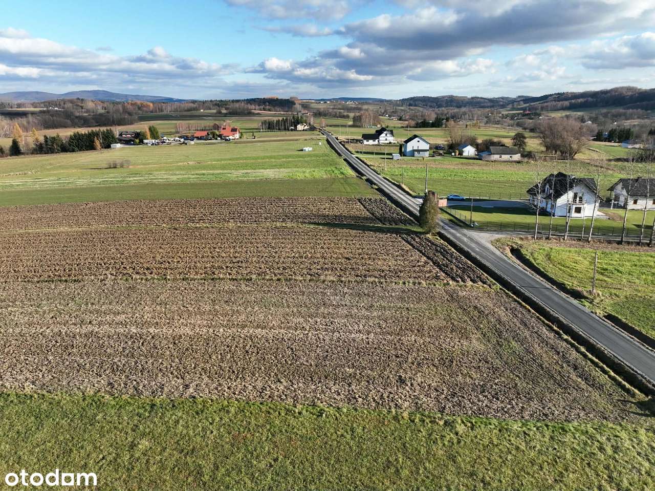 Ponad 1,5 ha działka w Ołpinach gm. Szerzyny-12