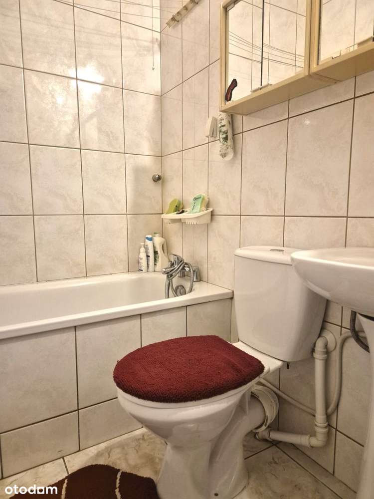 Dom i budynki gosp., działka 25ar -Miłochowice - Pełny obrazek: 4/17