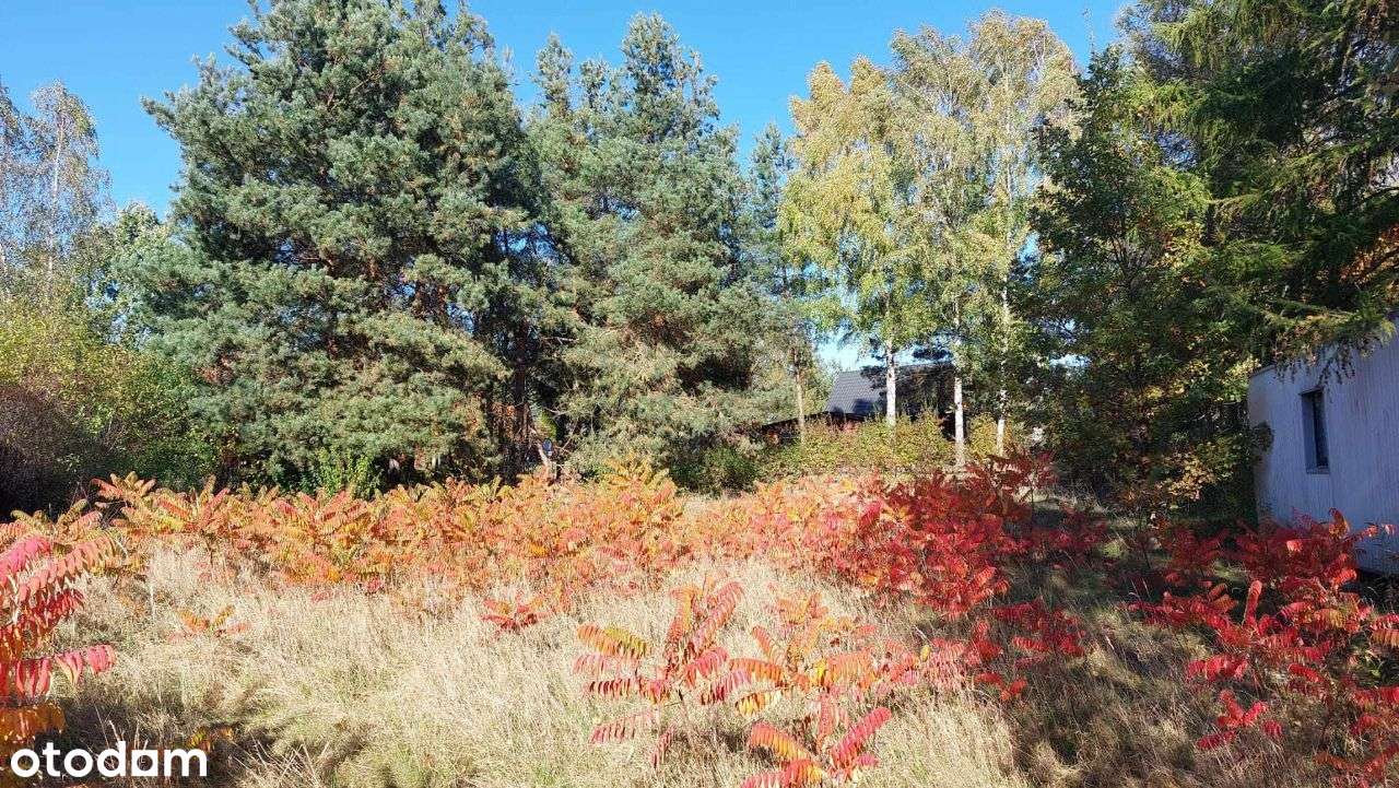 Działka przy jeziorze - Demlin