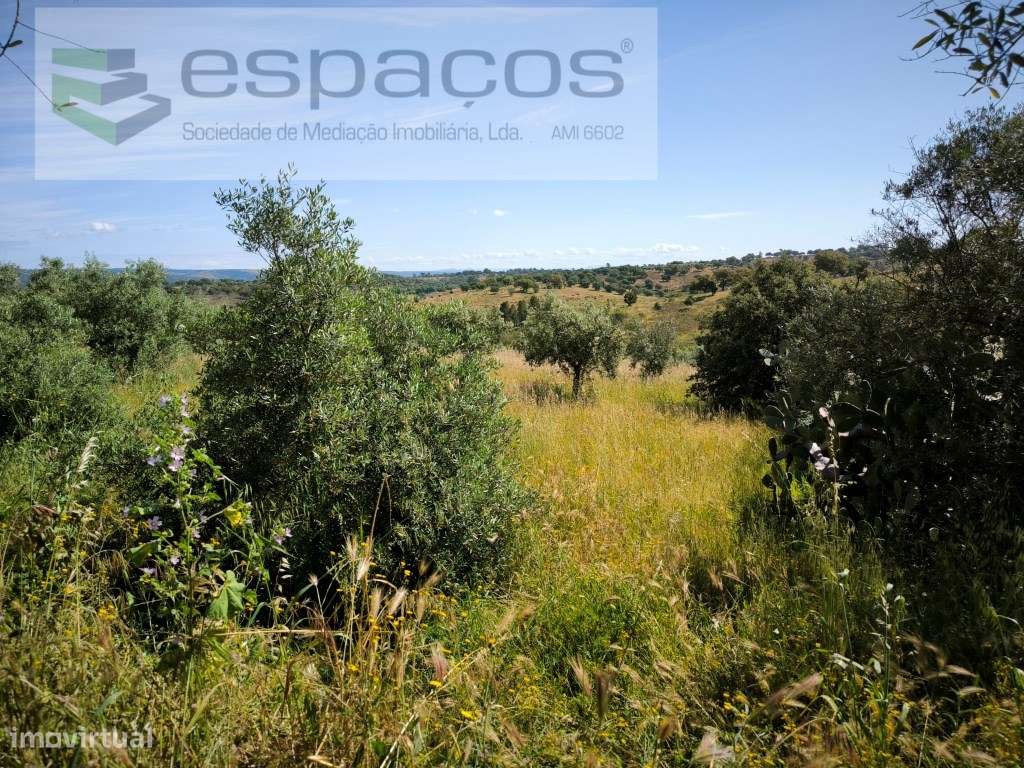 Terreno com poço - Lentiscais - Grande imagem: 4/9