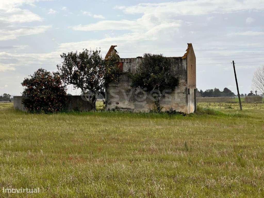 Terreno com 22400m com Construção, Poço e Eletricidade - Grande imagem: 4/17