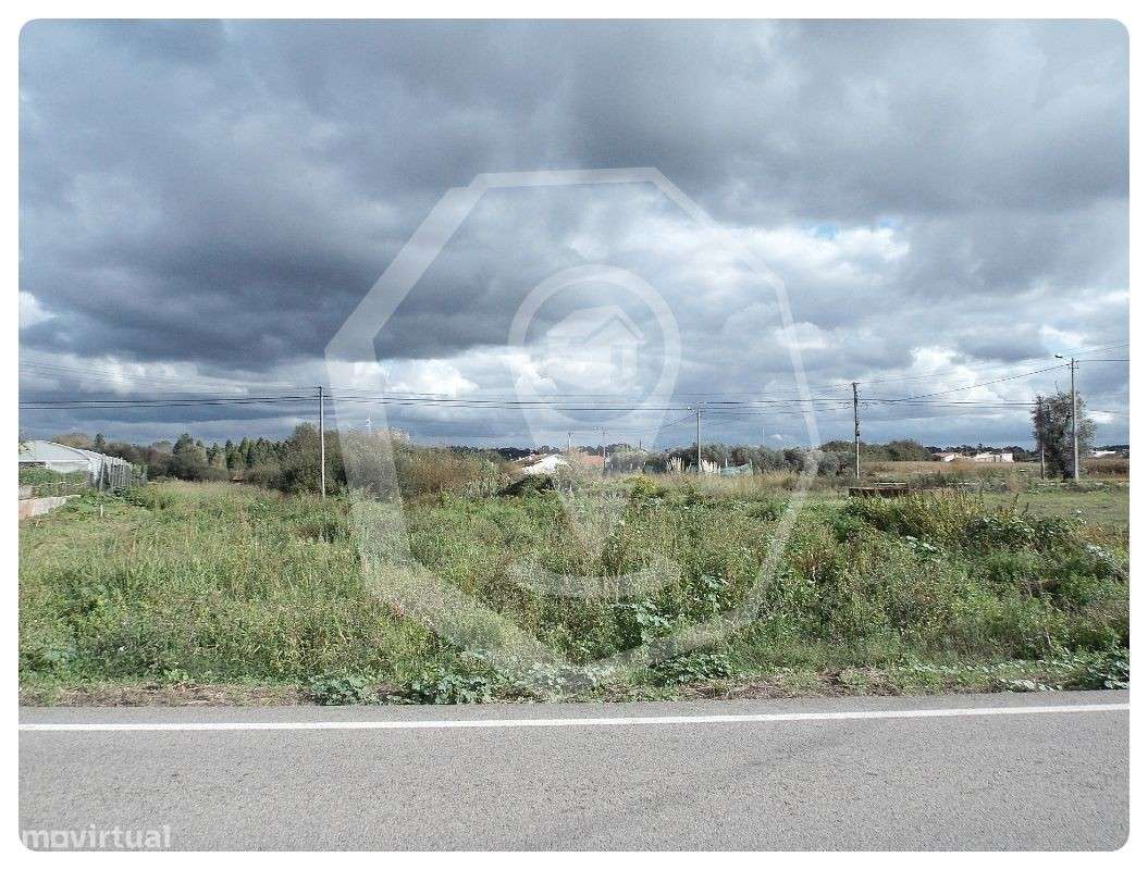 Terreno Oiã - Grande imagem: 1/1