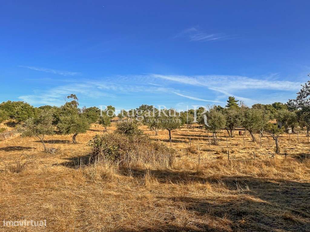 Quintinha com 1,2ha e ruína urbana em São Miguel Acha-23