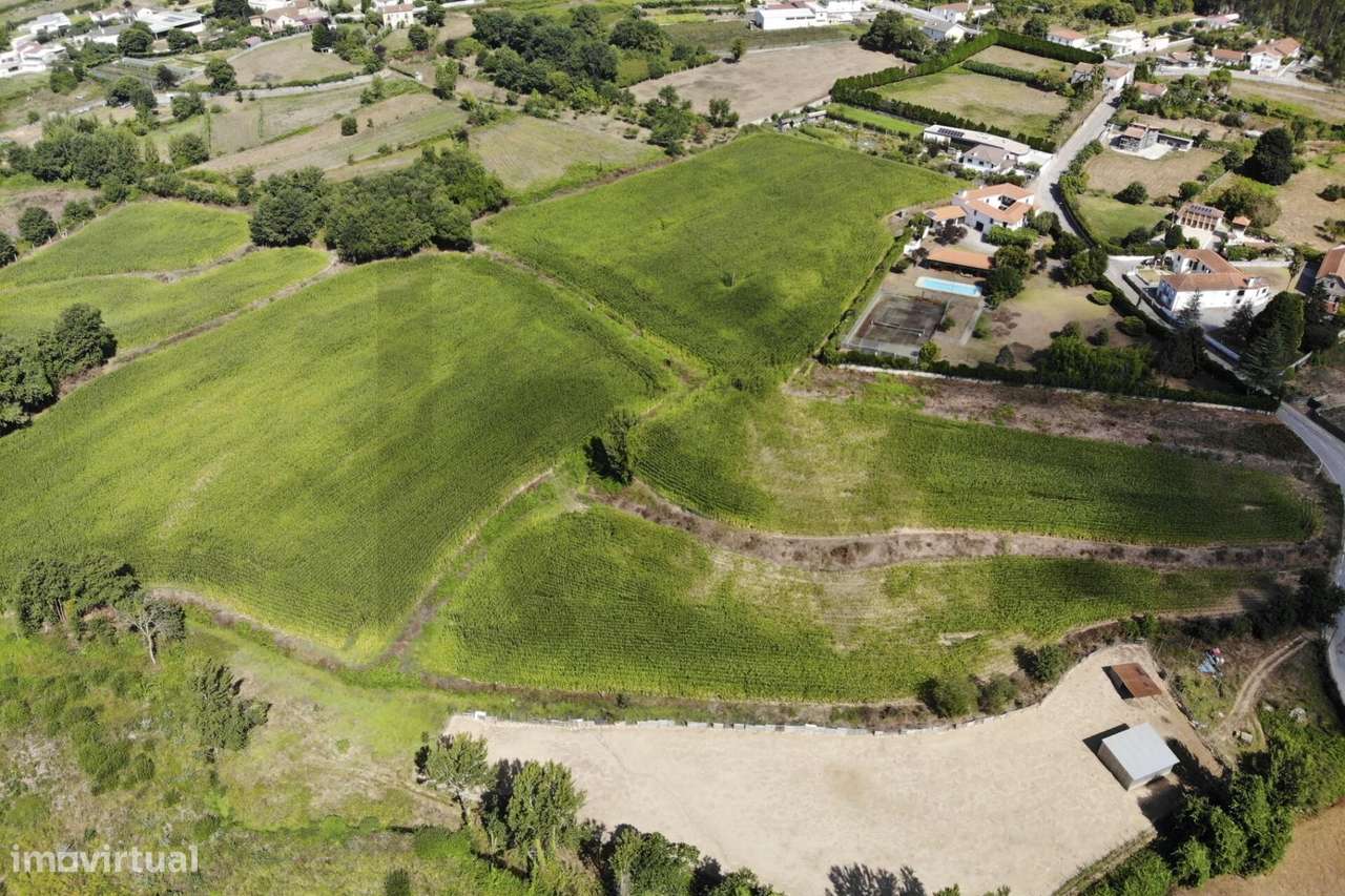 20.590 m2 | Excelente Exposição Solar | Regato e Rego de Rega | Guisan-18