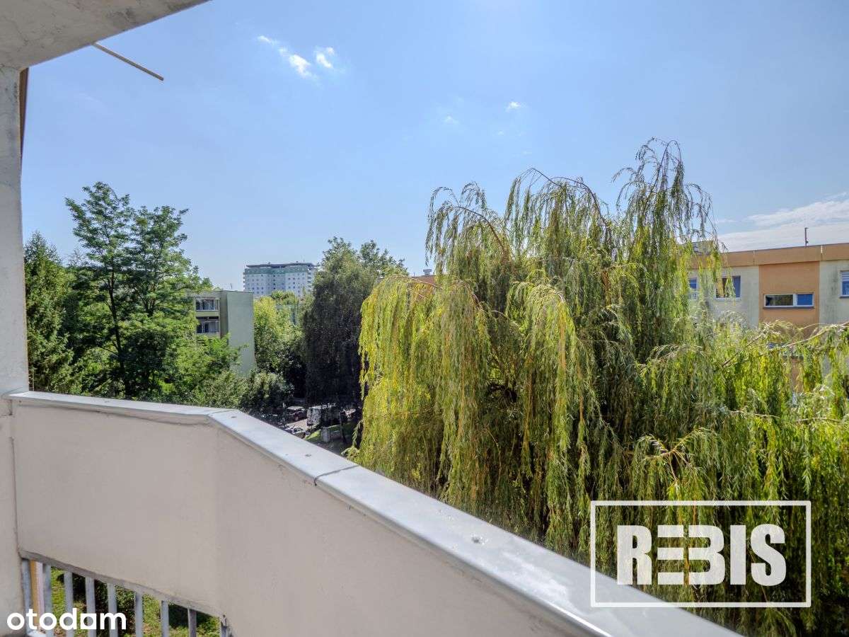 Eng| ul. Strzelców, 51 m2, 3 pokoje, balkon - Pełny obrazek: 4/15