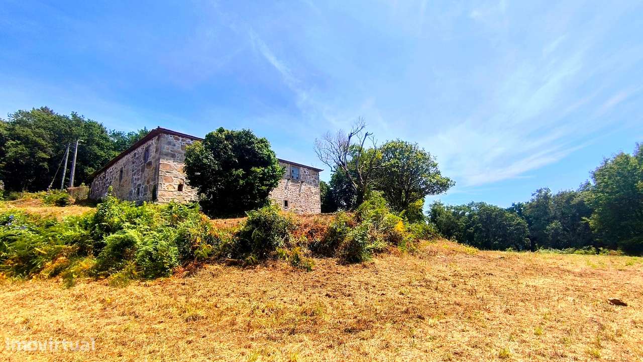 Quinta com 19000 m2 nas margens do Douro-4