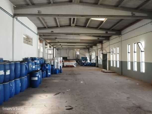 Armazem em Alcanena Torres Novas junto à A1 - Grande imagem: 4/12