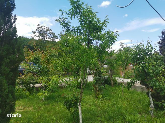 Vila P+E, Bascov/Valea Ursului, teren 1017mp, partial mobilata-3