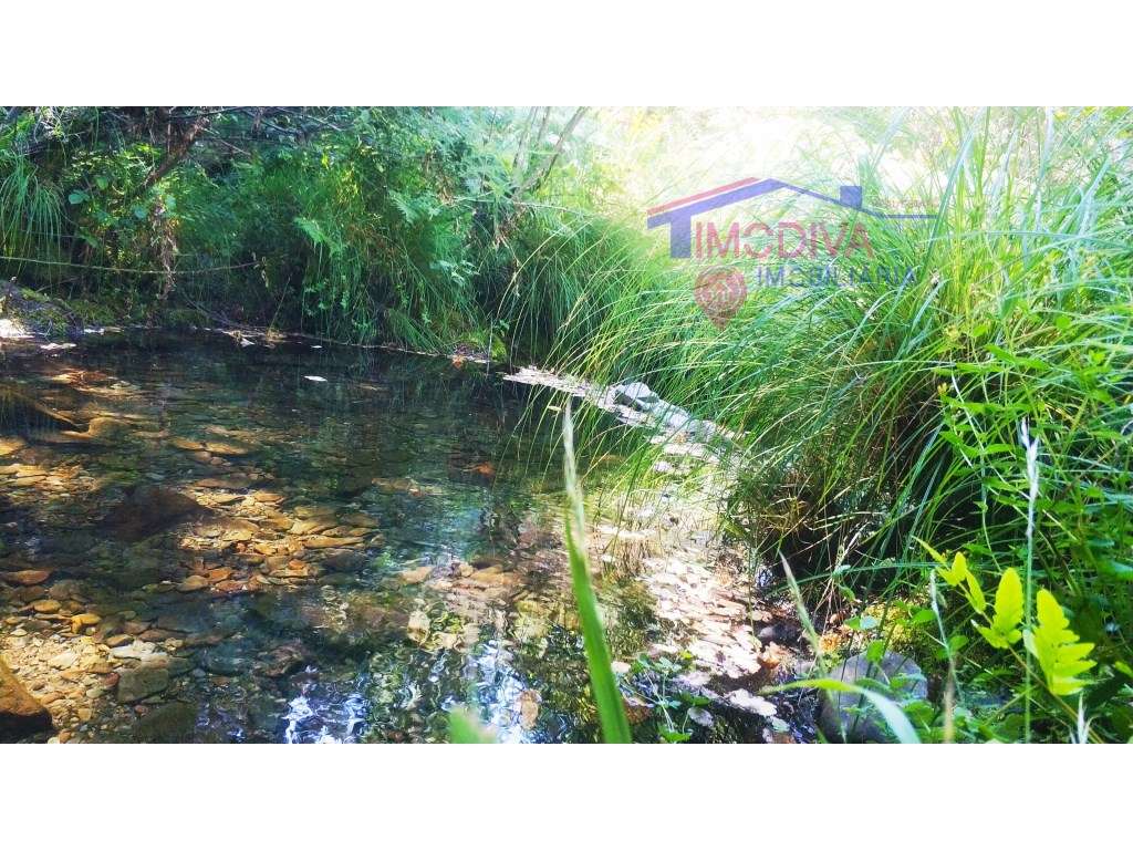 Terreno florestal com mais de 30000 m2 - Alvares, Góis - Grande imagem: 5/12