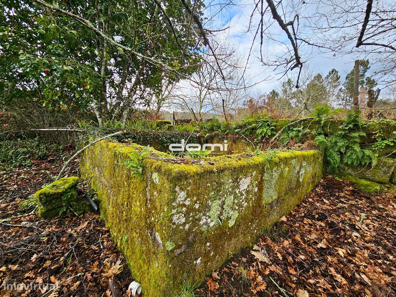 Terreno com grande potencial em Moçamedes , Vouzela - Grande imagem: 4/21