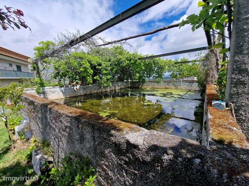 Quinta V2 - Grande imagem: 3/42