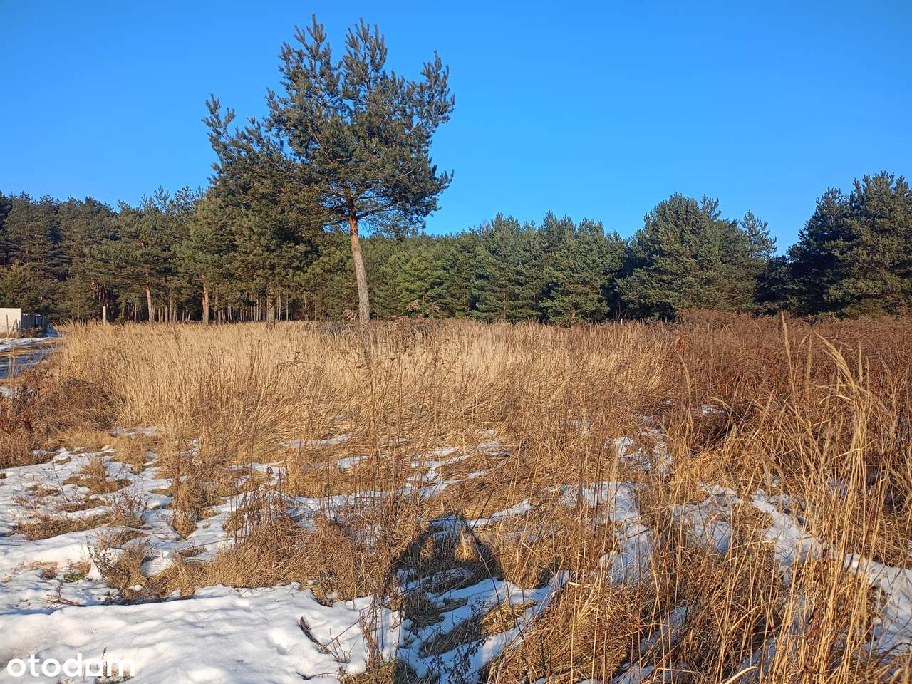 Ustawna działka na dom parterowy -dostępnych kilka działek obok siebie-9