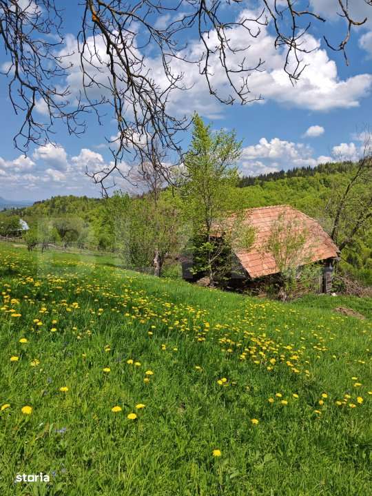 Teren intravilan 3400 mp, in Balaban - Simon, Bran - Brasov - Imagine principală: 1/8