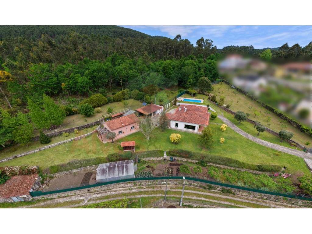 Quintinha com 2 casas -Extraordinária propriedade-4