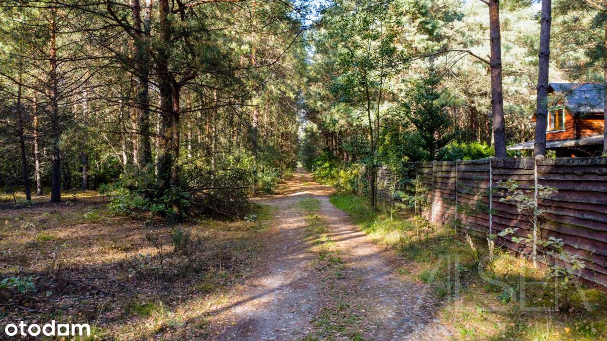 Działki z WZ na skraju Lasu Państwowego - Pełny obrazek: 5/20