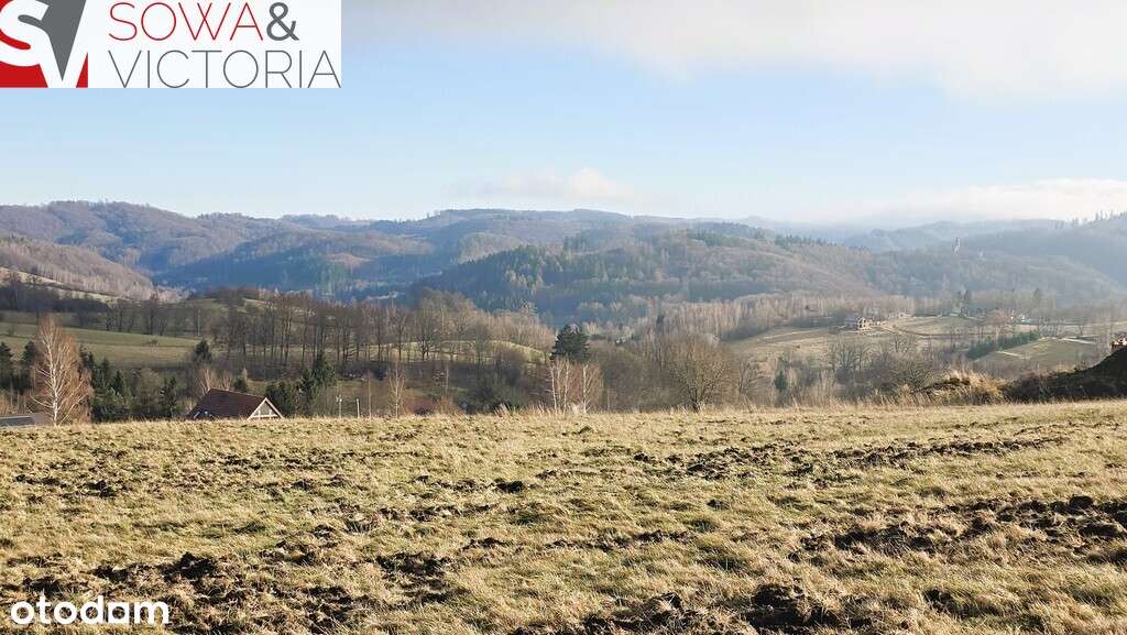 Rezydencjalna działka budowlana w Górach Sowich - Pełny obrazek: 4/9