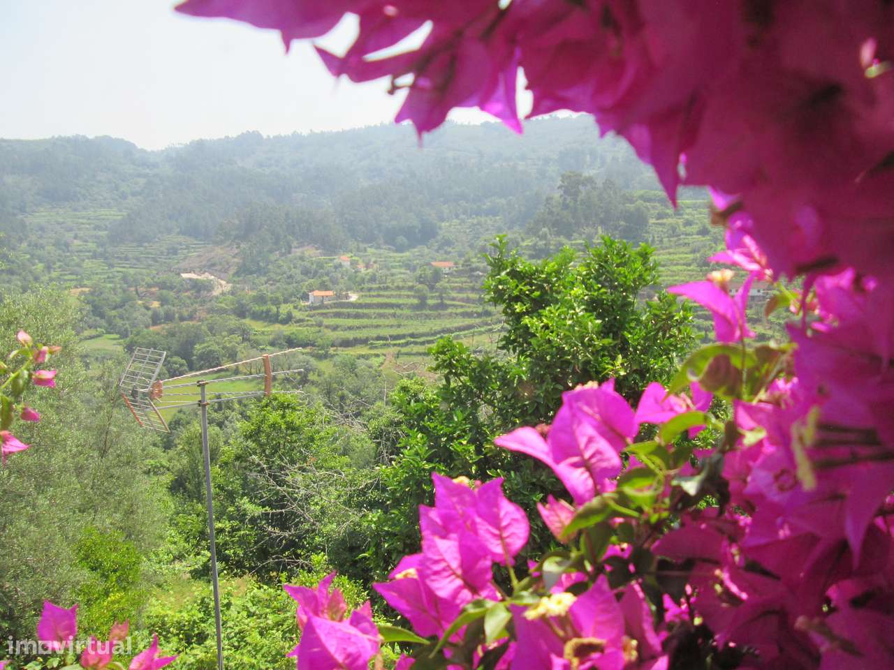 Quintinha no Minho Ponte de Lima * 10.000 m2 * a 90 Km do Porto-27