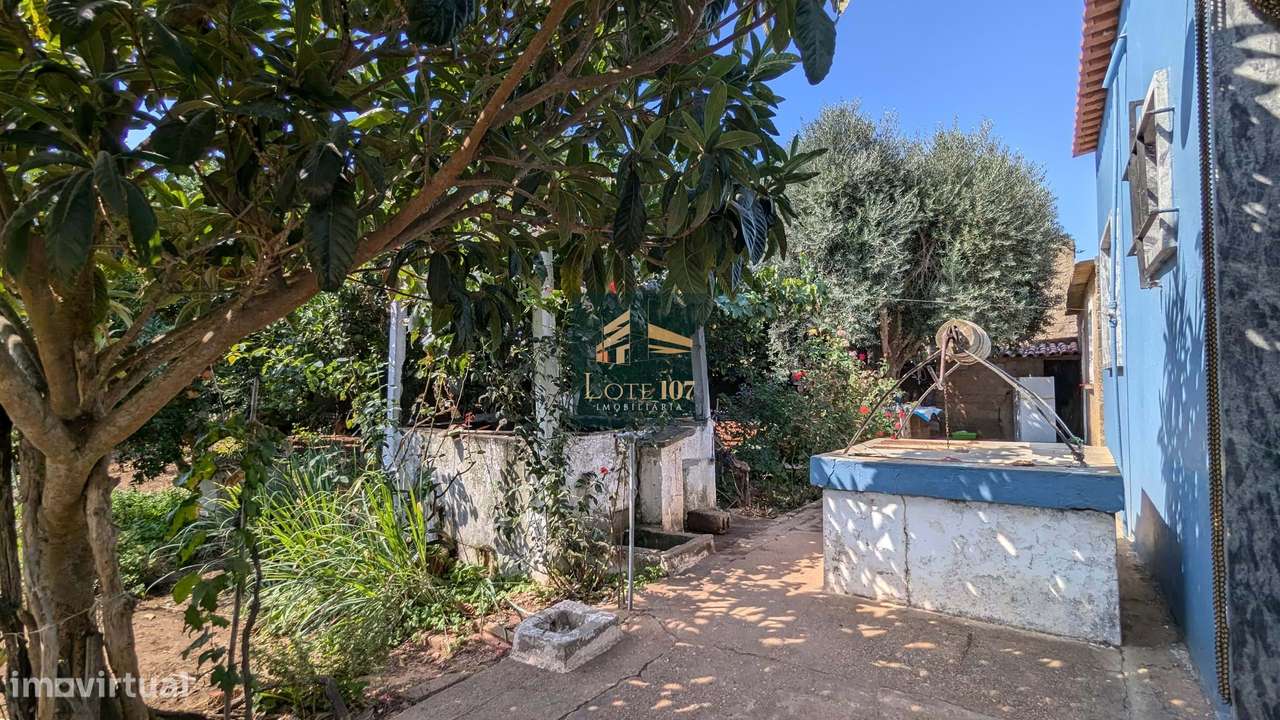 Conjunto de 2 Moradias Térreas(T2 e T1) em Mimosa- Alvalade - Grande imagem: 4/60