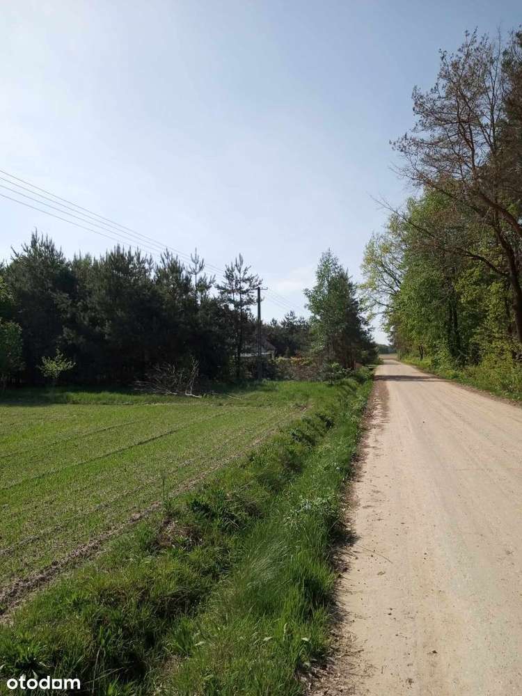 Sprzedam działki budowlane Czarnogłów gm.Dobre-3