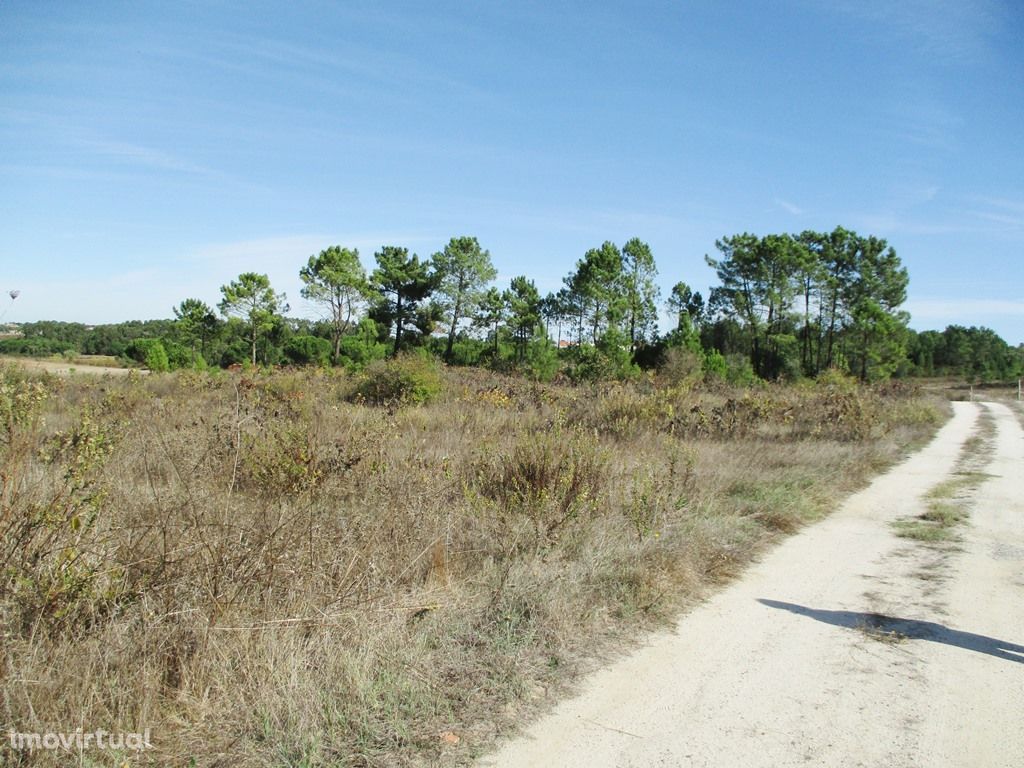 Terreno Rústico c/ 19.500 m² - Reserva Agrícola (Não pode construir)