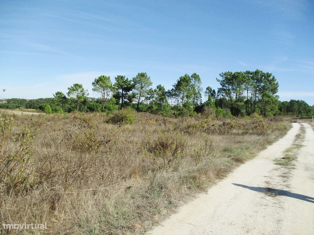 Terreno Rústico c/ 19.500 m² - Reserva Agrícola (Não pode construir) - Grande imagem: 1/7