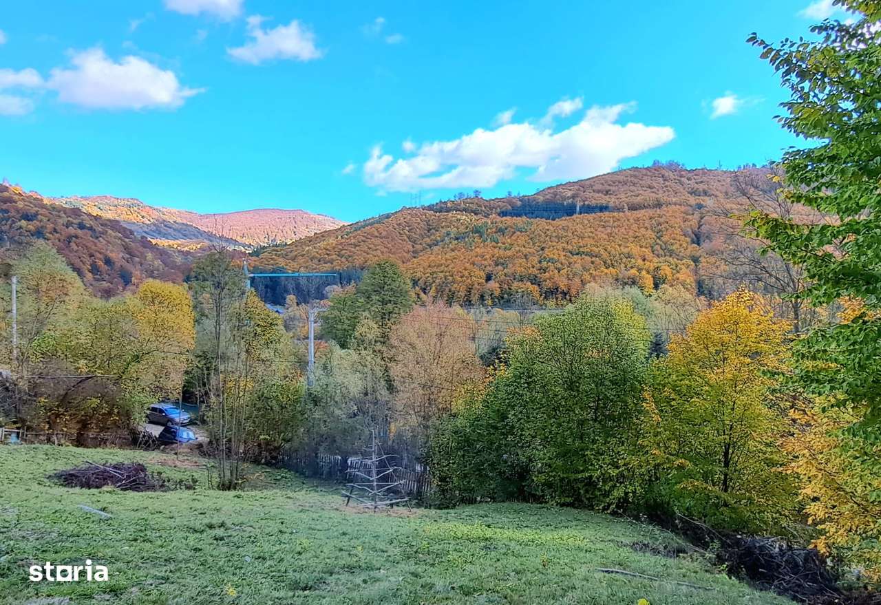 Vand teren cu vedere la lac, Valea Doftanei,Strada Lacului - Imagine principală: 4/4
