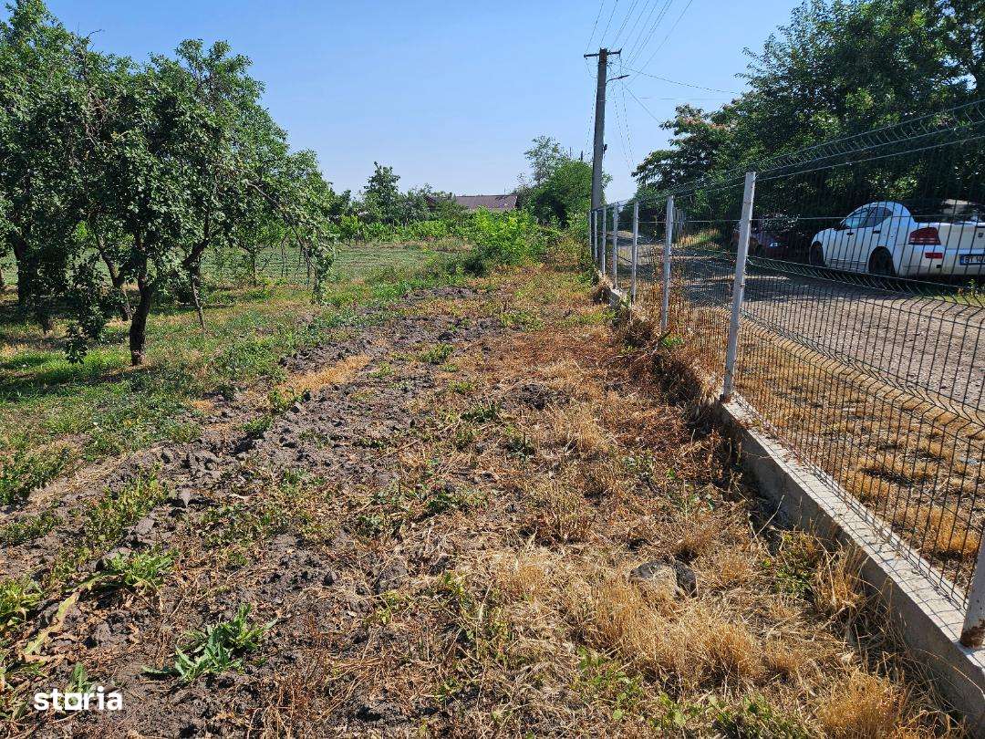 Teren intravilan, toate utilizatile, pretabil constructii ! - Imagine principală: 5/5
