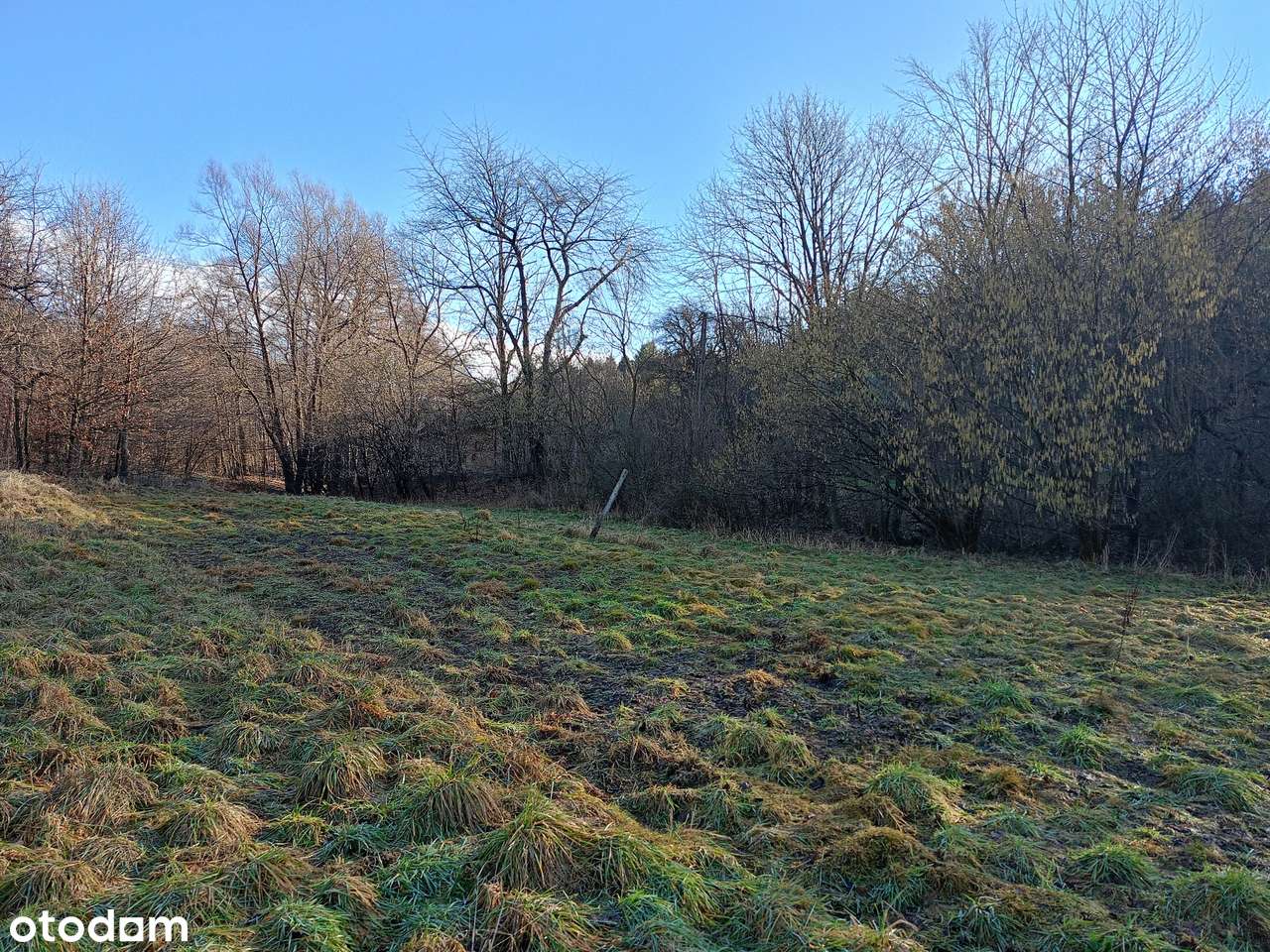 Działka rekreacyjna o pow. 16 ar Zabratówka gm. Chmielnik-1