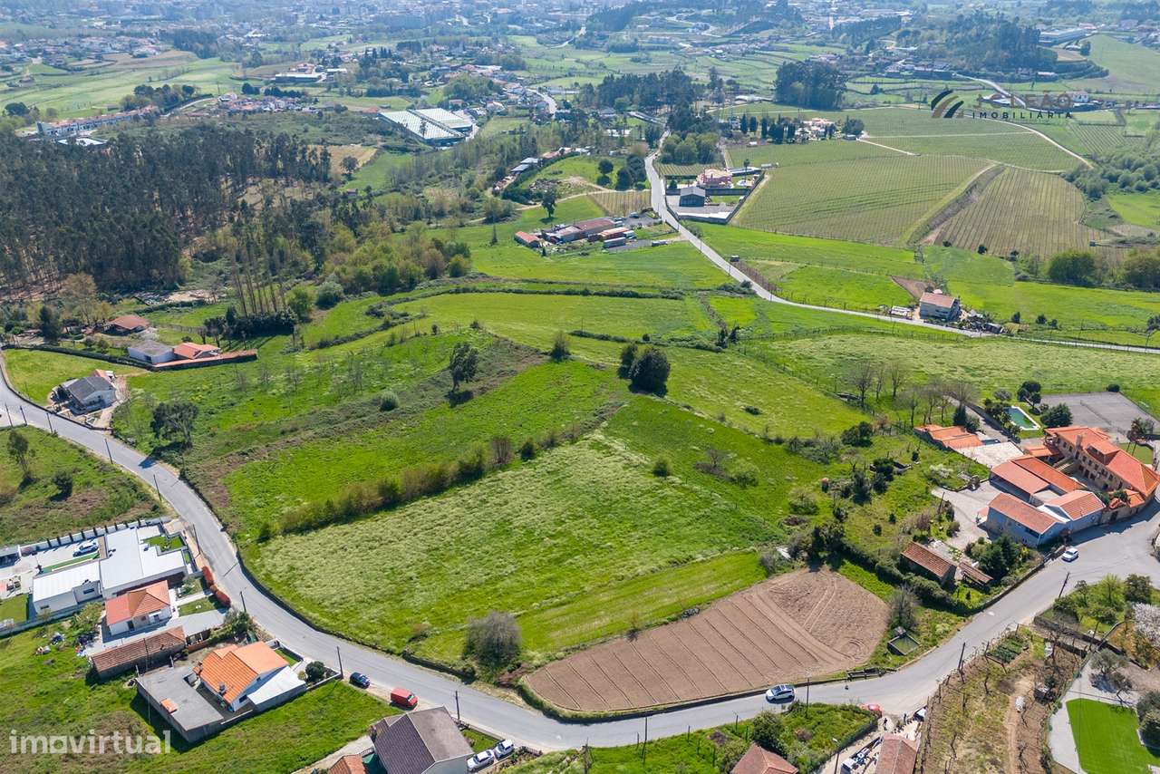 Terreno em Gondalães – 7.779 m²-14