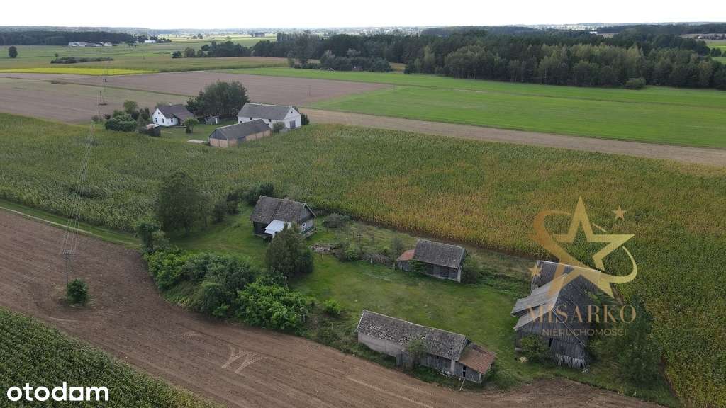 Siedlisko w Grądach, gm. Knyszyn - Pełny obrazek: 3/17