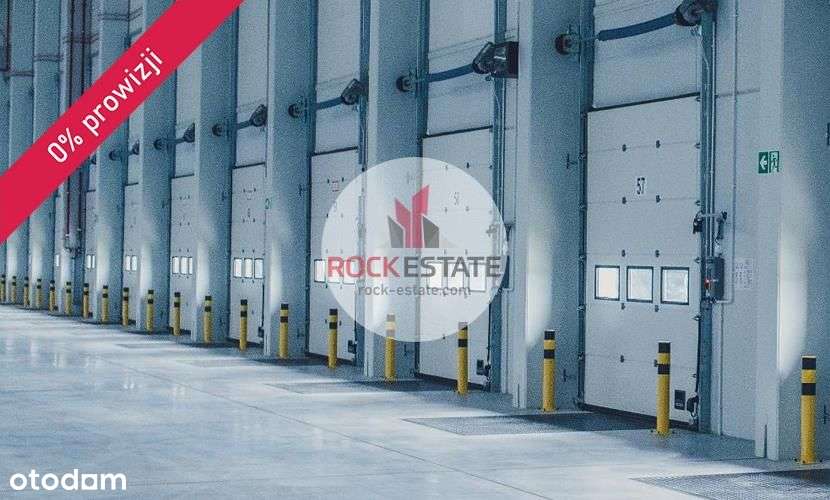 Magazyn 4300 m2 na wynajem - 0% prowizji - Pełny obrazek: 5/11