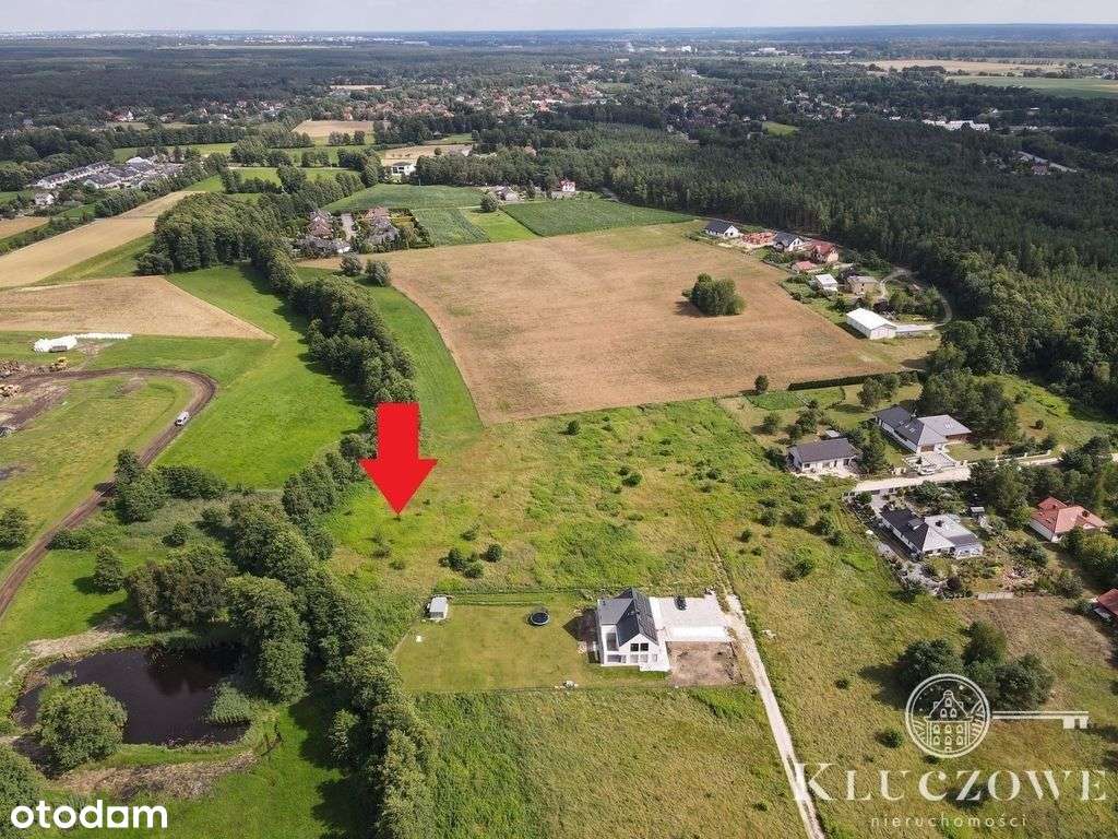 Ul. Leszczynowa, Czarne Błoto/Rozgarty-3