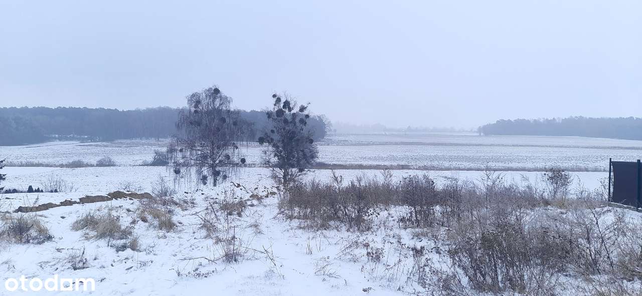 Widok na dolinę rzeki, z laskiem. Działka budowlana tuż obok Szamotuł-5