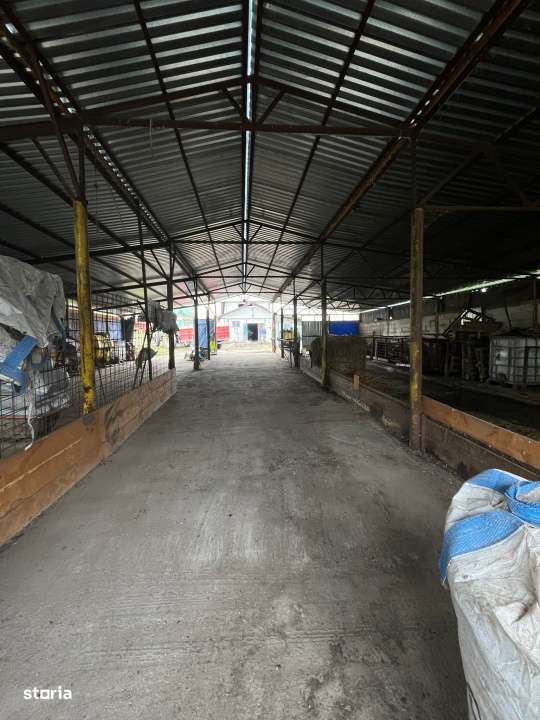 De vanzare ferma: hala de 500 mp.+teren 6500 mp, Frata - Imagine principală: 5/7