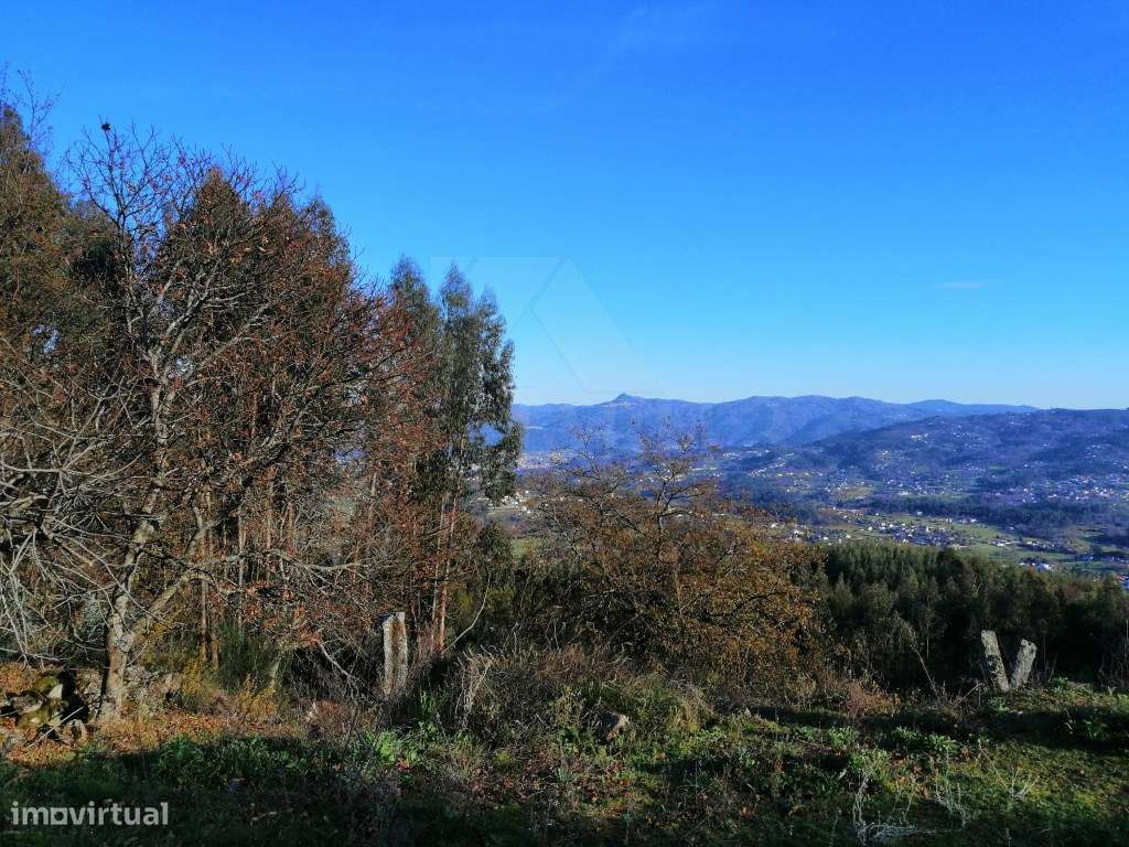 Terreno com arrecadação em Padreiro - Grande imagem: 5/17